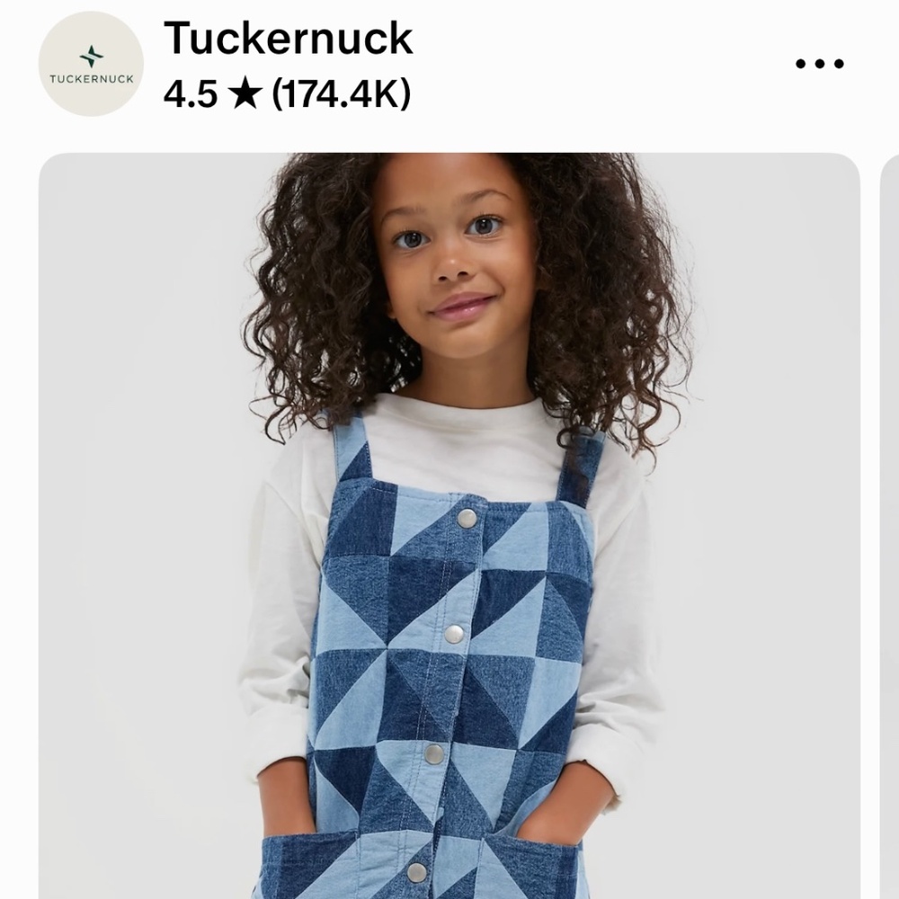 BNWT Kids Tuckernut Denim Snap Front Dress